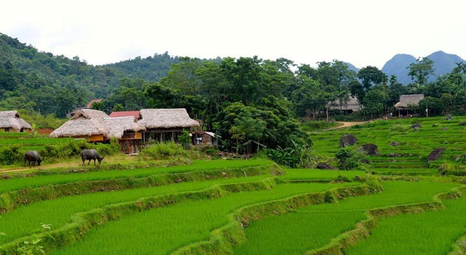 Puluong Valley Home Thanh Hoa Екстер'єр фото